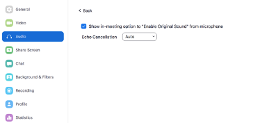 Zoom audio setting